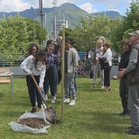 Un ciliegio per ricordare Elisabetta Paolucci