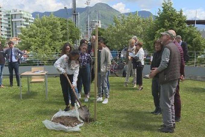 Un ciliegio per ricordare Elisabetta Paolucci
